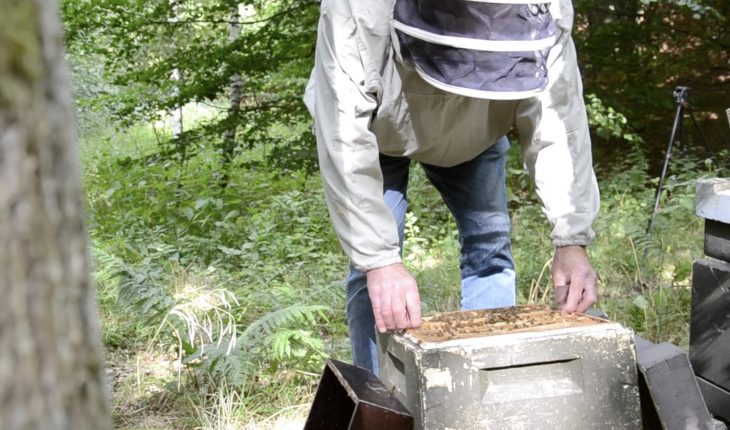 Jakobsens visits beekeeper Ole
